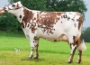 DOSE TAUREAU MEDELLIN - NFR3556493472 - 5691061
