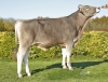 DOSE SEXEE FEM 90 TAUREAU RASTAROKET - XFR3556494016 - 2198345