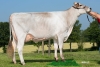 DOSE SEXEE FEM 90 TAUREAU RASTAROKET - XFR3556494016 - 2198345