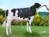 DOSE TAUREAU MOSCATO P - NFR3570623425 - 6691676