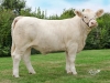 DOSE TAUREAU INDOU SC - NFR3615364745 - 3886952