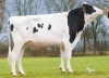 DOSE TAUREAU MONSIEUR - NFR3802996883 - 6691012