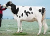 DOSE TAUREAU NAIRWAY - NFR4242715459 - 6692576