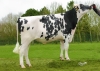 DOSE TAUREAU JEFFREY - NFR4401573446 - 6687551
