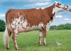 DOSE SEXEE FEM 90 TAUREAU ROQUEFORT - XFR4425460604 - 5696590