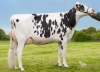 DOSE TAUREAU HORA - NFR4432722672 - 6683281