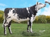 DOSE TAUREAU NATANGA - NFR4444062222 - 5692908
