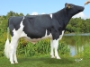 DOSE TAUREAU INTERVIEW - NFR4451111080 - 6685286