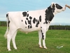 DOSE TAUREAU NOZAY P - NFR4451945705 - 6692518