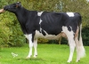 DOSE TAUREAU JURIDIK - NFR4460978728 - 6687708