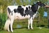 DOSE TAUREAU PAVARD - NFR4472336457 - 6695195