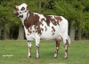 DOSE TAUREAU LIMA - NFR4948130227 - 5688746
