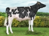 DOSE TAUREAU NALBANJO - NFR5027780684 - 6692894