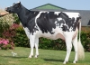 DOSE TAUREAU NORBAY - NFR5344216853 - 6692809