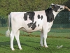 DOSE TAUREAU SORBAY P - NFR5344217368 - 6698770