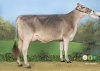 DOSE SEXEE FEM 90 TAUREAU PACTOLE - XFR5356268551 - 2195946