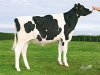 DOSE TAUREAU NIKERBY - NFR5367323198 - 6692896