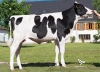 DOSE TAUREAU NAGIO P - NFR5502496263 - 6693251