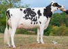 DOSE TAUREAU REMEMBER - NFR5502632933 - 6696558