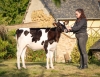 DOSE TAUREAU TEACUP P - NFR5626970877 - 66A1595