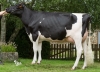 DOSE TAUREAU LANDVIEW - NFR5631923100 - 6688888