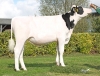 DOSE TAUREAU RALFONS P - NFR5631923531 - 6697490