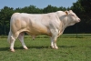DOSE TAUREAU JALABERT - NFR5706117051 - 3889084