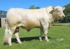 DOSE TAUREAU ODRISCOL P - NFR5706310971 - 3895922