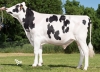 DOSE TAUREAU IRRATY - NFR6413301480 - 6686387
