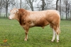 DOSE TAUREAU LARRONDO - NFR6414274143 - 7989887