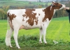 DOSE TAUREAU LUGANO P - NFR6950832346 - 1989247