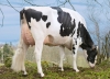 DOSE TAUREAU MY SPACE - NFR6950884393 - 6691018