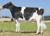 DOSE TAUREAU REGLYS - NFR7253843284 - 6696288