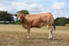 DOSE TAUREAU RAINBOW - NFR7944431727 - 7198614