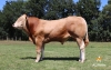 DOSE TAUREAU RELAX PP - NFR8564825250 - 7997444