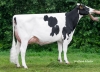 DOSE TAUREAU RAINOW - NUS003213001132 - 6698201