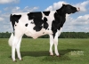 DOSE TAUREAU UPTON PK - NUS003257827608 - 66A3685