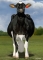 DOSE TAUREAU HEROIC - NUS003260843013 - 66A2828