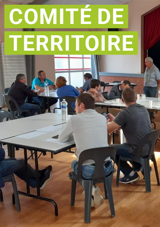 Comité de territoire