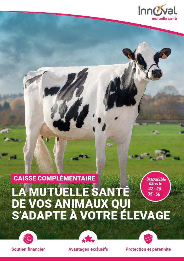 Caisse Complémentaire