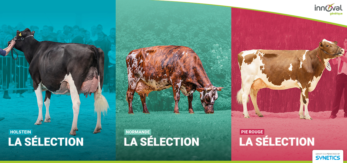Consultez les sélections du meilleur de la génétique - Avril 2023