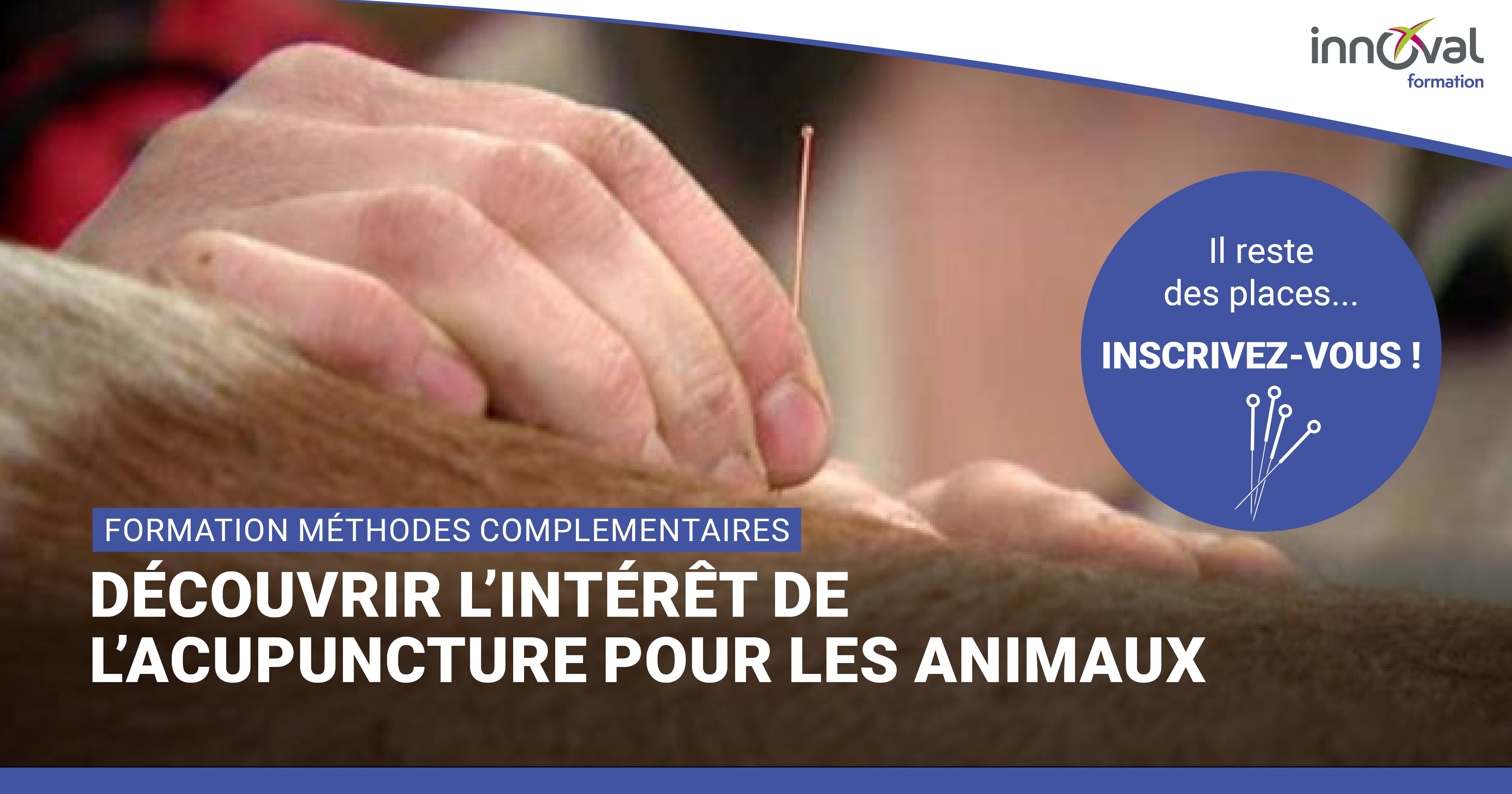 Nouveauté formation INNOVAL "Découvrir l'intérêt de l'acupuncture pour les animaux"