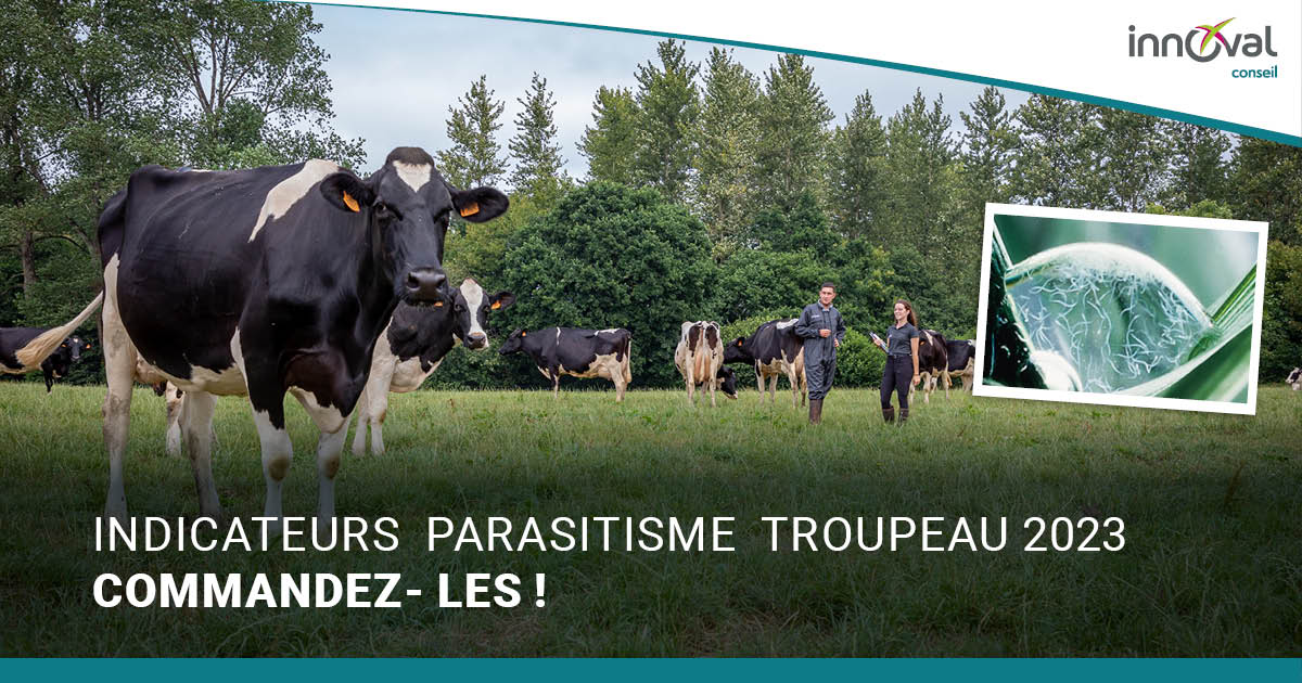 Indicateurs Strongles et Douve : sécurisez les performances zootechniques de votre troupeau !