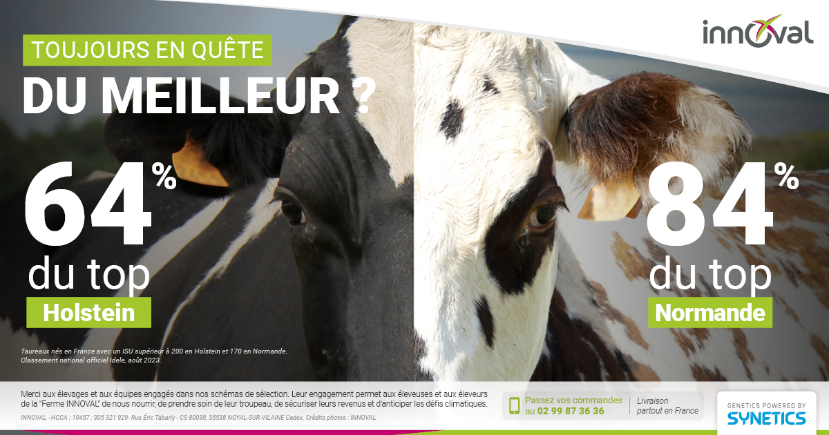 Toujours en quête du meilleur ?