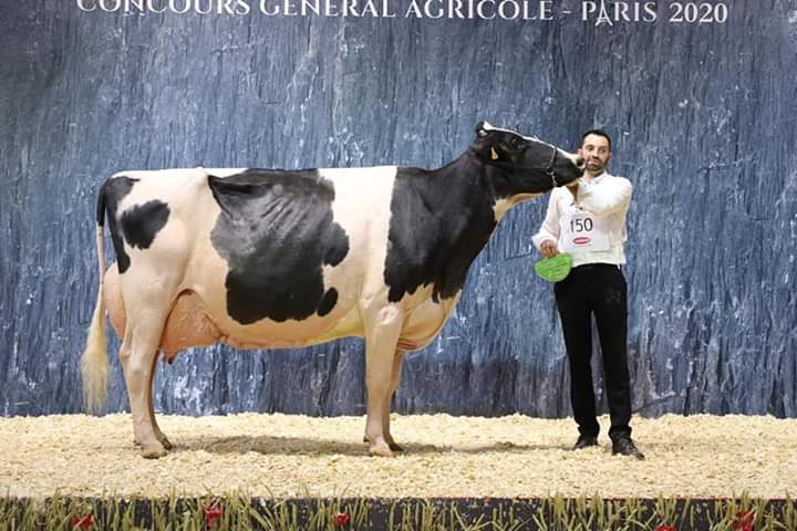 Palmarès des Grandes Laitières 2023