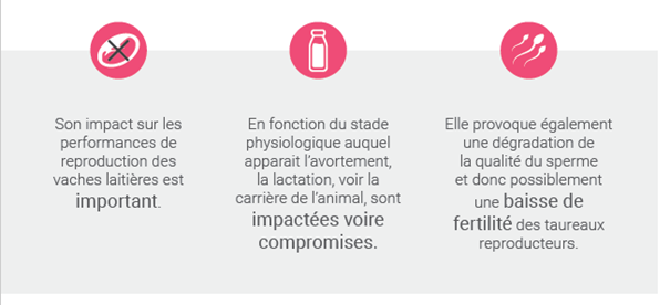 INDICATEUR NÉOSPOROSE : IDENTIFIEZ LE NIVEAU DE CONTAMINATION DE VOTRE TROUPEAU