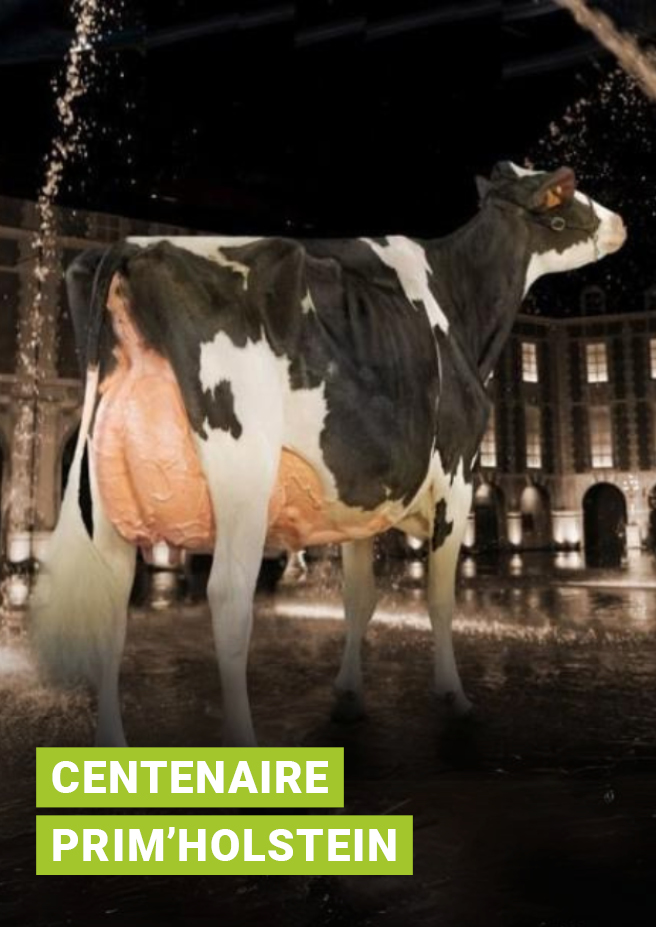 Centenaire Prim'Holstein