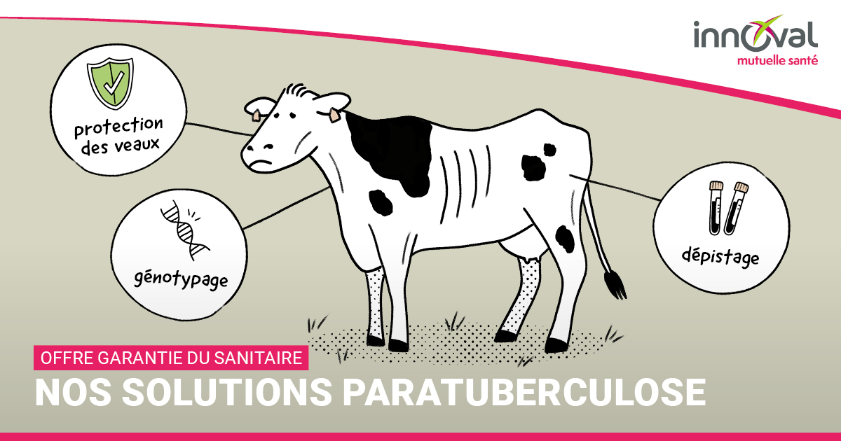 Quel accompagnement INNOVAL en cas de statut paratuberculose défavorable ?