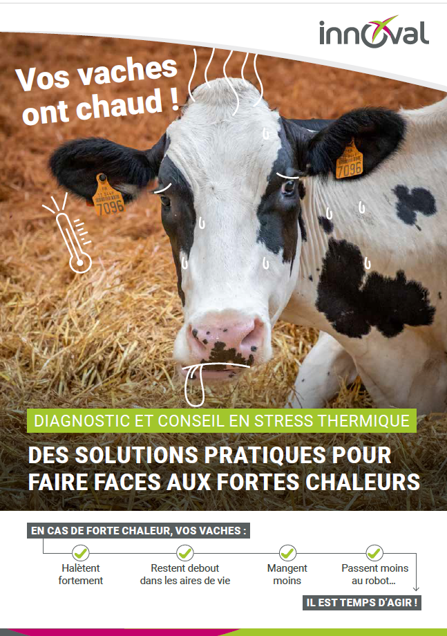 Conseil et diagnostic en stress thermique 1