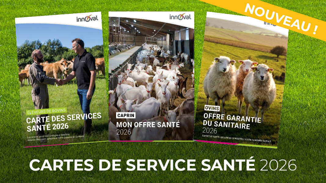 Découvrez les cartes de services santé 2026